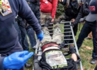 Remember When the Police Officer Pushed a J6 Protester Off the Ledge, Potentially to His Death?