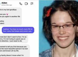 Hero Police and the Latest Presser on a Suicidal Audrey Hale