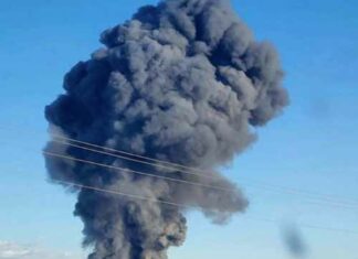 18,000 Cows Burned Alive After Dairy Farm Explosion – Possible Cause