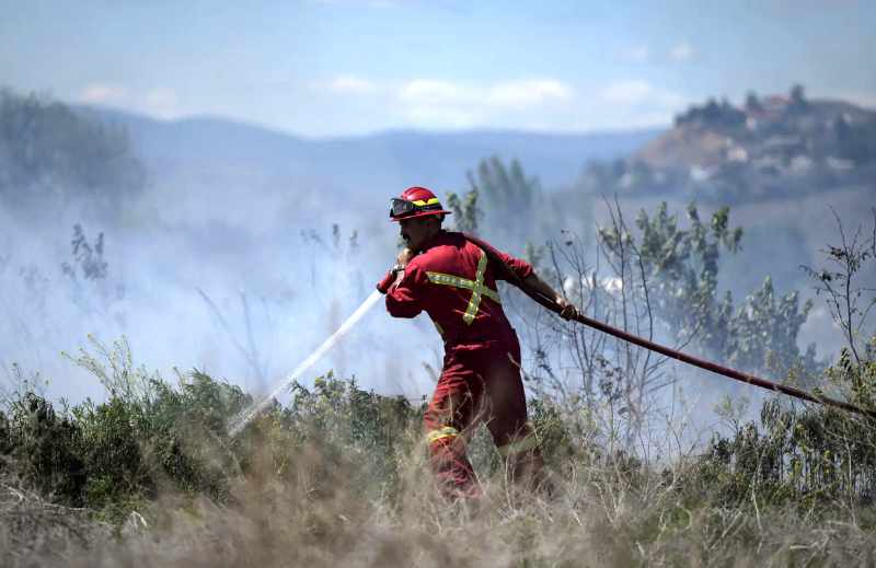 NextImg:Forest Fires Less about Climate Change than Arson