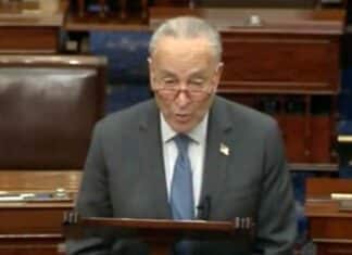 Chuck Schumer Exploits Canada’s Brush Fires to Stir Hysteria
