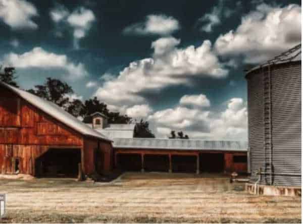 NextImg:Most Gun-Friendly States in 2023