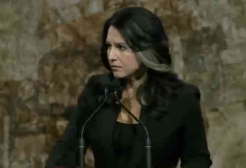 Dems Found Nearly 100 NSAs Who Signed a Letter Dissing Tulsi