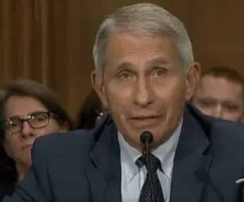 NextImg:Sen. Paul Files Criminal Referral on Dr. Fauci for "Crimes Against Humanity"