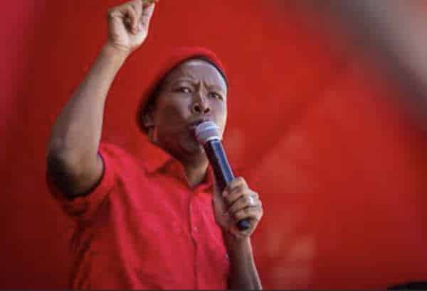 NextImg:Malema Clarifies: "We've Not Called for Killing of White People - For Now"