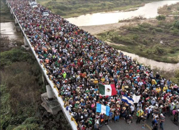 NextImg:71% of Illegal Crossers Go to Republican Districts -Transforming the USA