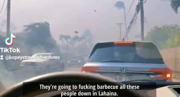 NextImg:The Everyday People Who Burned to Death in Maui