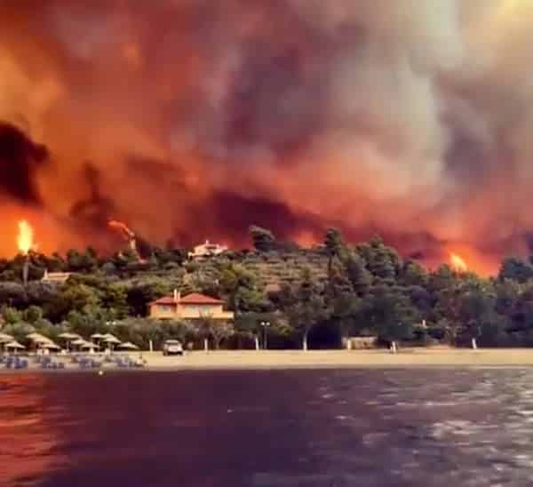 NextImg:Largest Wildfire Ever Recorded in the EU Caused by Arson, Not Climate
