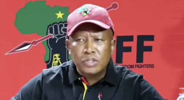 NextImg:Progressives Will Turn Us Into Where South Africa Is Headed