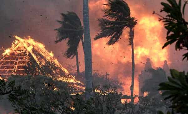 NextImg:No, Maui Fires Are Not Due to Climate Change, They're "Human Caused"