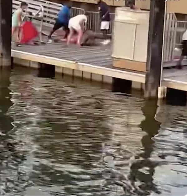 NextImg:MSM Stirs Up Racial Hate After White People Attack Riverboat Workers