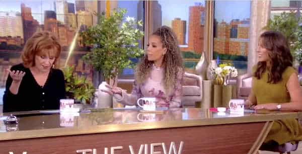 NextImg:Wicked Ladies of The View Viciously Insult Young Republicans