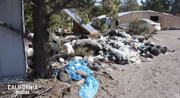 NextImg:Cartels Are All Over California