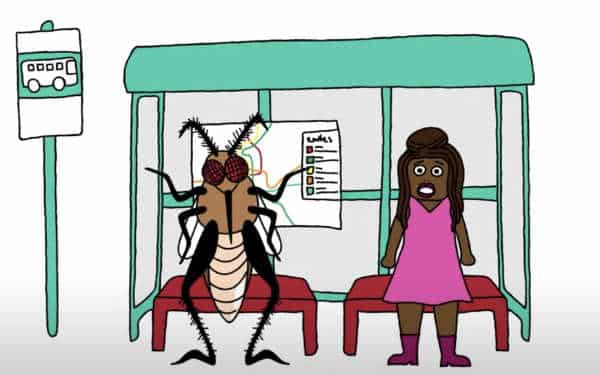 NextImg:Minnesota Teacher Training Compares White People to Mosquitos