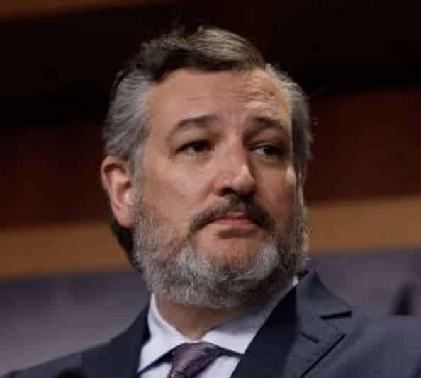 NextImg:Sen. Cruz Warns Americans of the Risk of a Terrorist Attack