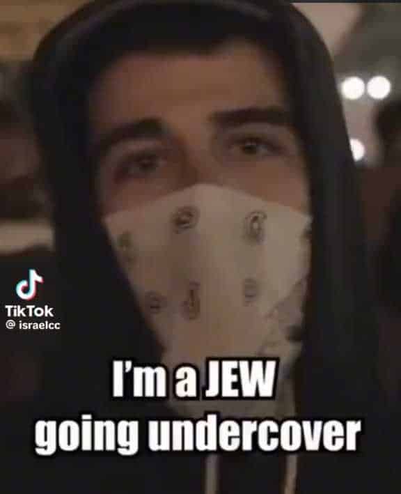 NextImg:Jewish Man Goes Undercover to a Peaceful Pro-Palestine Rally