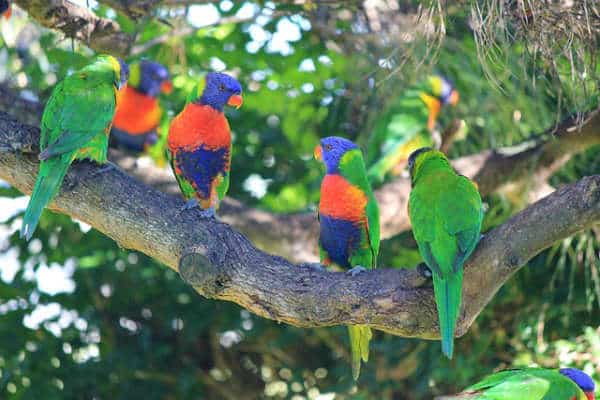 NextImg:Ex-UK Cop Convicted of an Offensive Parrot Meme, Faces Prison Time