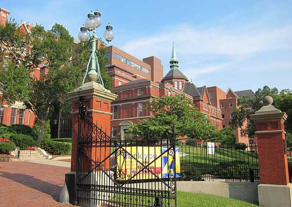 NextImg:Johns Hopkins Has a Harvard-Level DEI Racist Infrastructure