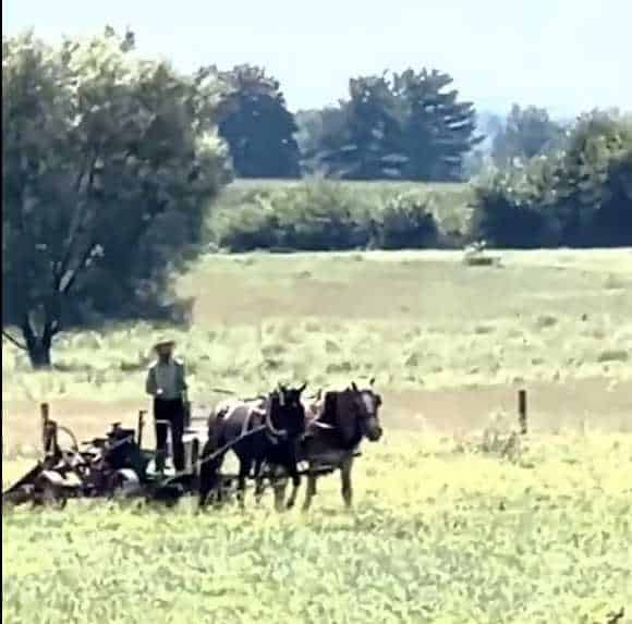 NextImg:Troopers Raid an Amish Farm Over One Possible E-Coli Case