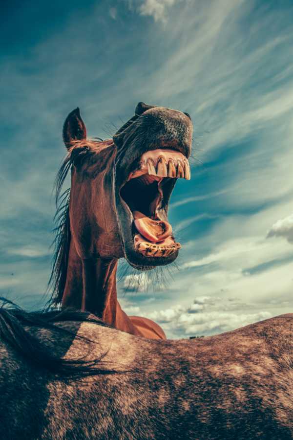 China’s Trojan Horses in Our Water‚ Grid‚ Ground Links