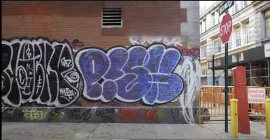 3rd World New York City with Slums and Foreign Gangs