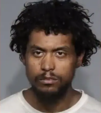 NYC: He Punches Elderly Woman‚ Released‚ Punches Little Girl‚ Released