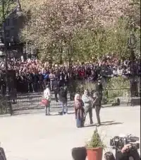 1300 Africans Swarm NY City Hall Demanding Hotel Rooms