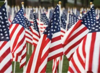 DEI Trainer: US Flag “Symbolizes Hate and Extremism…Racism”