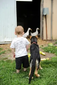 Big Government’s War on Backyard Farms & Personal Sovereignty