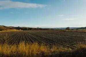 Idaho Farmers: “We’re All Going to Fail”