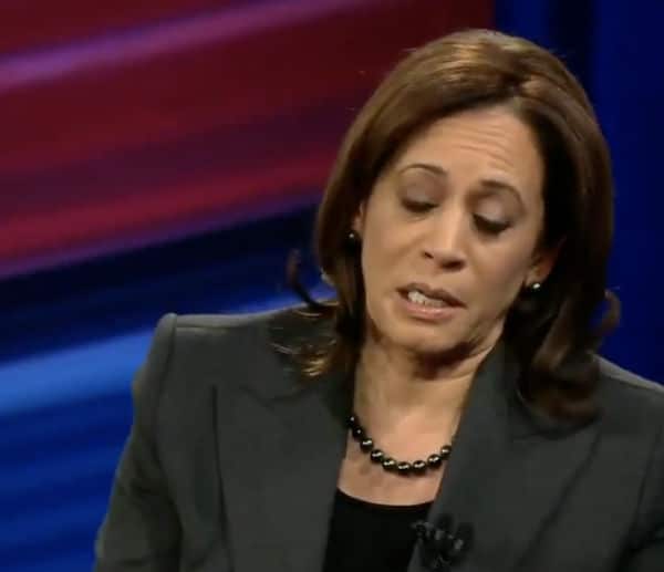 Kamala Is Winning on Social Media