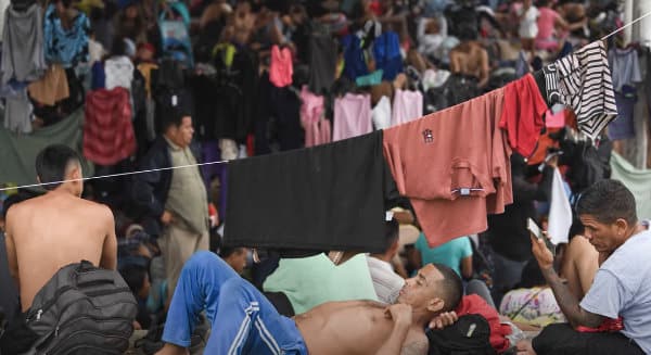 Pelosi and Harris Call for Citizenship for All Here Illegally