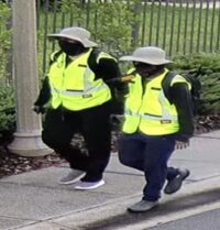 Democrat Approved South American Theft Rings Have Free Rein