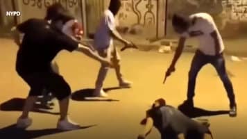 Most Dangerous Gang in the World TdA Is In Every Tennessee City