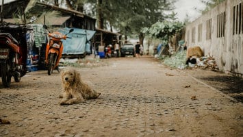 On the US Becoming a Poor Third World, Uncivilized Country