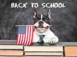 Donald Trump’s Promises to Address American Education