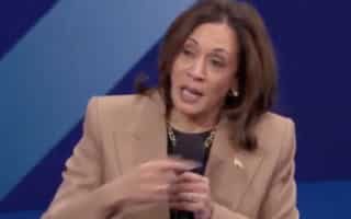 Harris Promises Illegal Migrants Amnesty & a Path to Citizenship