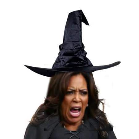 Make Halloween Great Again! Vote Trump!