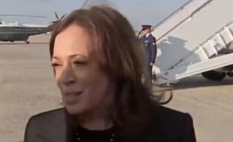 Harris Bashes De Santis and Biden Praises Him the Next Day for His Handling of Hurricanes