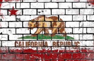 California Private Sector Employment Has Collapsed