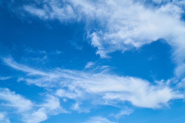 BlueSky Picks Up 1.5 Million Followers Since the Election