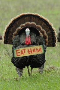 Make Sure Your Turkey Doesn’t Explode