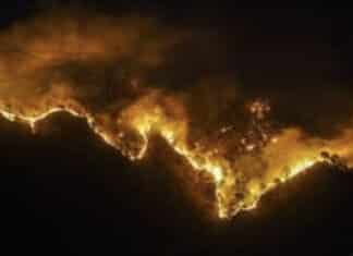 California Knew About the Hydrant Problem by 1962