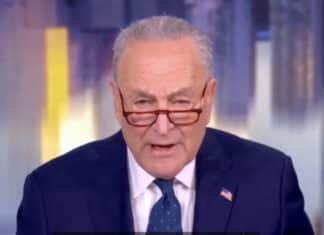 Schumer Found the Winning Dem Talking Point: We’re All “Greedy”