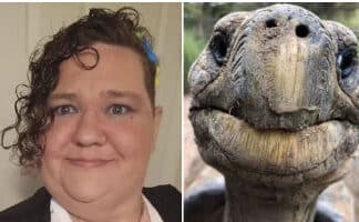 Advisor to Oregon Mental Health Authority Is a Turtle