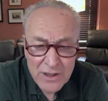 Chuckie Schumer Promotes Rule by District Judges