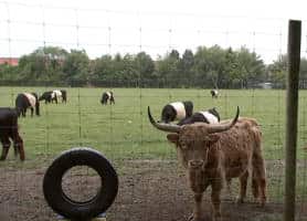 Save the Henry Farm! Feds Sign on to Fight for a 175-Year-Old NJ Farm
