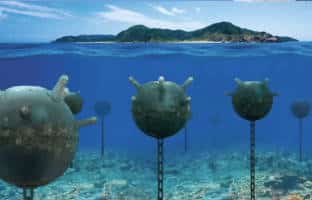 Dr. Mercogliano: Why Iran Will Never Close the Straits of Hormuz