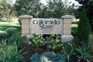 AFL Sues Colorado State for Rampant Illegal DEI Programs