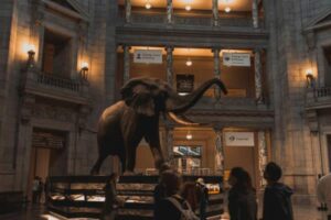 Smithsonian Pushes Irrational Genders, Men in Women’s Sports, Racism, etc.